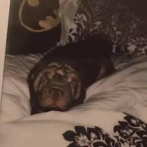 Meet your Posher, Sandra